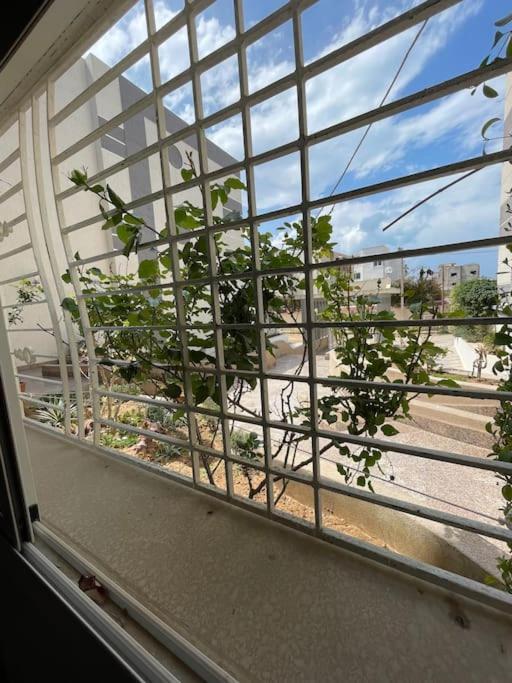 Casa Charm Falaise モナスティル エクステリア 写真