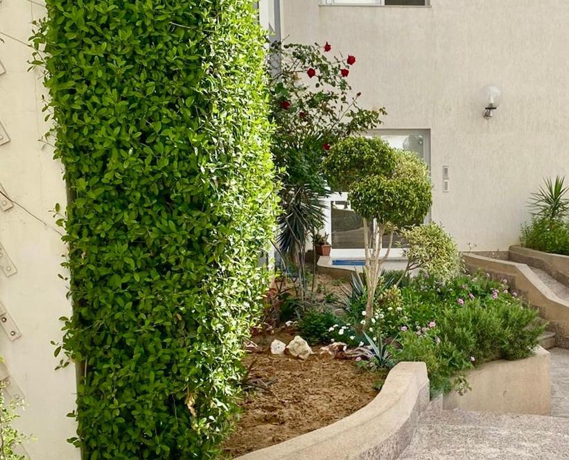 Casa Charm Falaise モナスティル エクステリア 写真