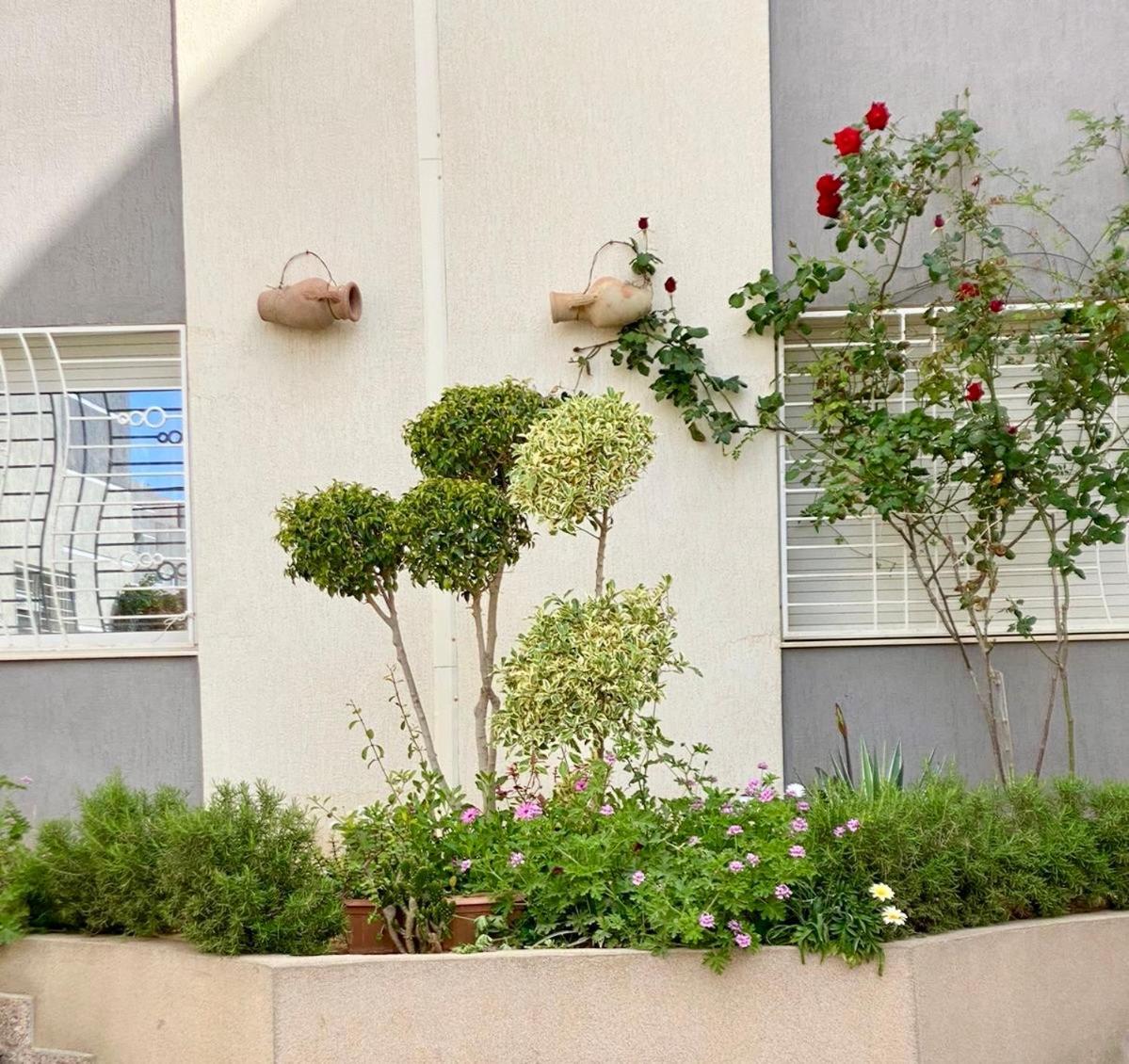 Casa Charm Falaise モナスティル エクステリア 写真